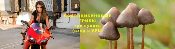 ECSTASY Алексин