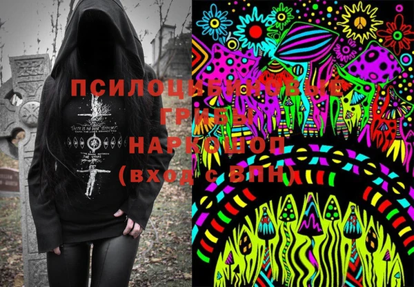 ECSTASY Алексин