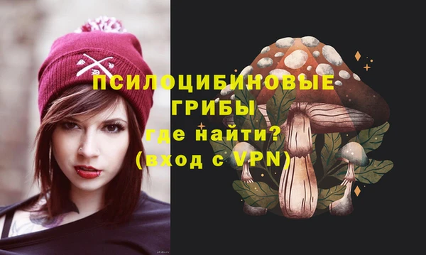 ECSTASY Алексин