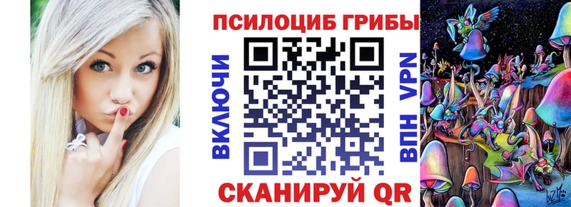 продажа наркотиков  omg маркетплейс  Галлюциногенные грибы ЛСД  Камбарка 